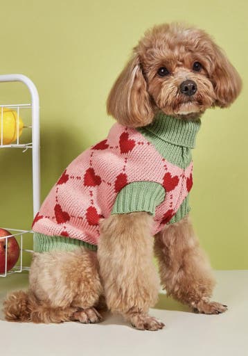 Honden Trui Hartjes Roze/Groen (Truien, Hondenkleding), Ophalen of Verzenden, Nieuw, Hondenvest