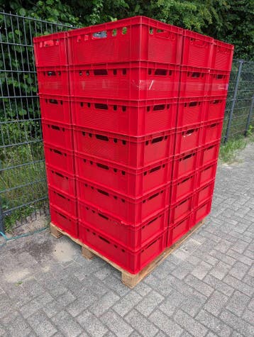 E2 Vleeskratten nieuw , 60x40x20 cm . Voedinggeschikt, 40 tot 60 cm, 50 tot 75 cm, Ophalen of Verzenden, Nieuw