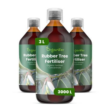 Rubberplant Vloeibare meststof - Set 3x1 liter, Verzenden, Mest
