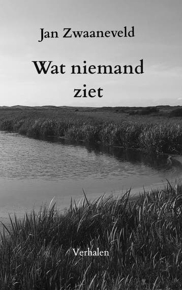 Wat niemand ziet - Jan Zwaaneveld 9789464353617, Verzenden, Gelezen, Jan Zwaaneveld
