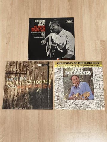 Big Bill Broonzy / Washboard Sam / Juke Boy Bonner - Diverse, Nieuw in verpakking