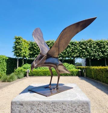 sculptuur, abstracte vogel - 30 cm - Brons