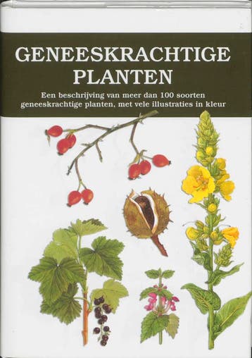 Geneeskrachtige planten - F. Stary 9789058410436, Verzenden, Gelezen, F. Stary