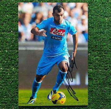Napoli - Italiaanse voetbal competitie - Goran Pandev - 2014, Nieuw