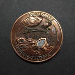 Muonionalusta meteoriet Moneta Rame - Hoogte: 4 cm - 30.15 g