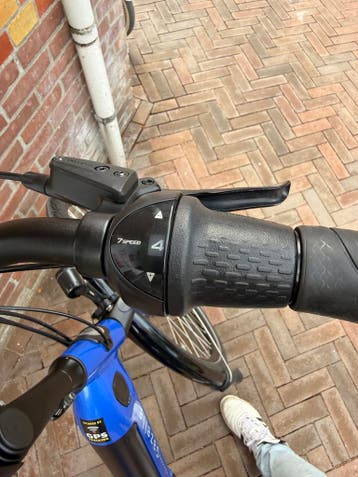 Prachtige Gazelle Grenoble C8  eBike – Bosch Active Line, Fietsen en Brommers, Elektrische fietsen, Verzenden, Zo goed als nieuw