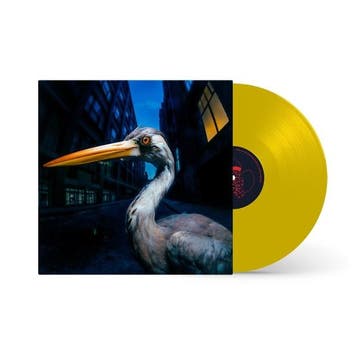 lp nieuw - antony szmierek - Decoding Birdsong (nieuw), Verzenden, Zo goed als nieuw, Overige formaten