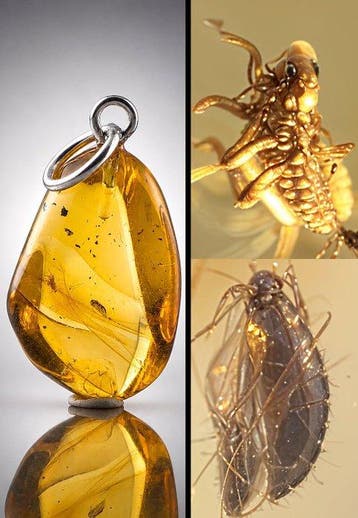 Echt Baltisch amber hanger – Prachtig bewaard