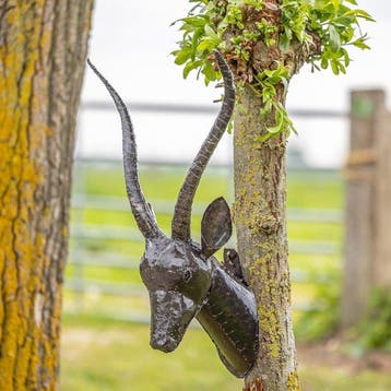 sculptuur, Gazellekop als wandhanger - 800 mm - Metaal
