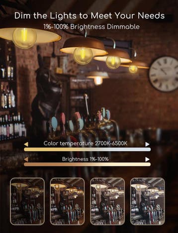 E27 LED lamp - Dimbaar - Filament lamp - 6W - 2 stuks - Aigo, Verzenden, Zo goed als nieuw