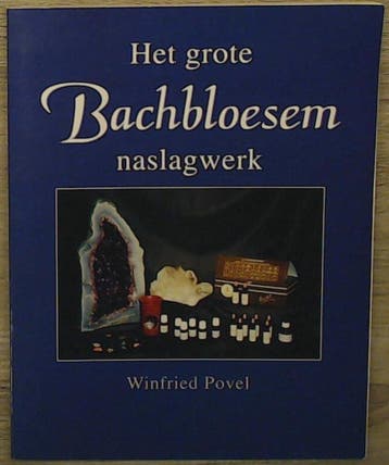 GROTE BACHBLOESEM NASLAGWERK - W. Povel 9789080251618, Boeken, Verzenden, Gelezen, W. Povel