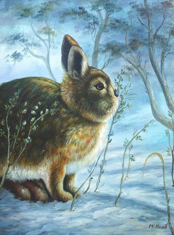 École animalière européenne (XX) - Lapin dans le froid de