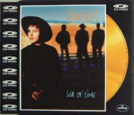 gold disc - Rainbirds - Sea Of Time, Verzenden, Zo goed als nieuw