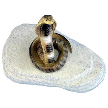 Cobra slang op steen, Verzenden, Nieuw