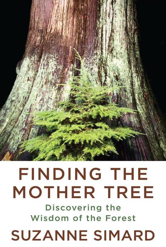Finding the Mother Tree 9781524712013 Suzanne Simard, Boeken, Taal | Engels, Gelezen, Verzenden