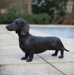 sculptuur, Lifesize Dachshund - 70 cm in length - 33 cm -