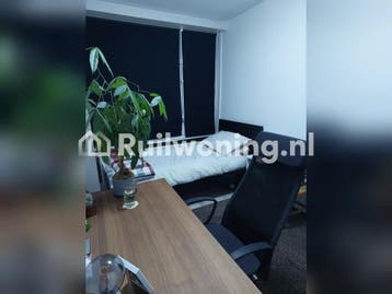 Ruime flat in Tilburg gezocht voor Assen (Drenthe), Drenthe