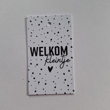 3x Cadeaulabel   Welkom kleintje (Per 3 stuks), Ophalen of Verzenden, Nieuw