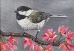 Paulien Janssen (1968) - Zwarte mees - Chickadee