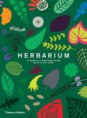 9780500420652 Herbarium: Gift Wrapping Paper Book, Boeken, Verzenden, Nieuw, Caz Hildebrand
