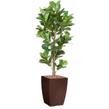 Ficus Lyrata kunstplant, H230cm, Huis en Inrichting, Ophalen of Verzenden, Overige soorten, 200 cm of meer