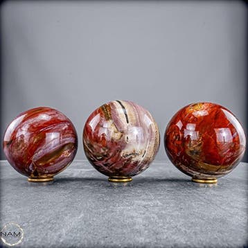 Versteend hout bolletjes-set – Exclusieve