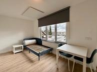 Studio Scharnerweg in Maastricht, Overige soorten, Limburg