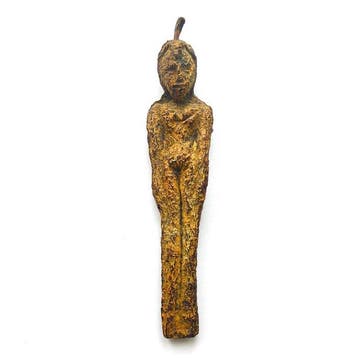 Oud-Indochinese bergstammen Exotisch fruit