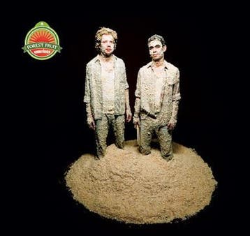 cd - Knobsticker - Forest Fruit, Verzenden, Zo goed als nieuw