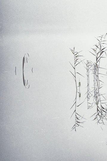 Annemiek van der Kuil - Where Water Forgets Itself I