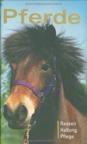 Paarden - Yolanda Heersma 9783625120438, Boeken, Verzenden, Gelezen, Yolanda Heersma