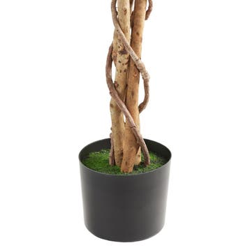 Kunst ficusboom Fida, realistische textuur - 160 cm, Verzenden