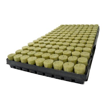 Agra-Wool Basic plugs 126 st. (per tray), Ophalen of Verzenden