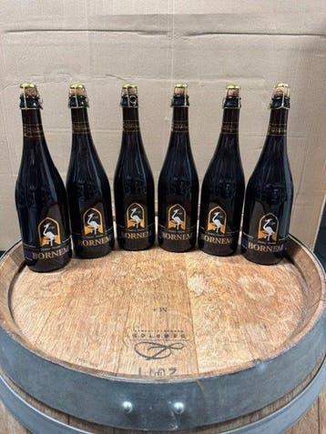Brouwerij Van Steenberge - Bornem - Dubbel - Abijbier - 75cl, Nieuw