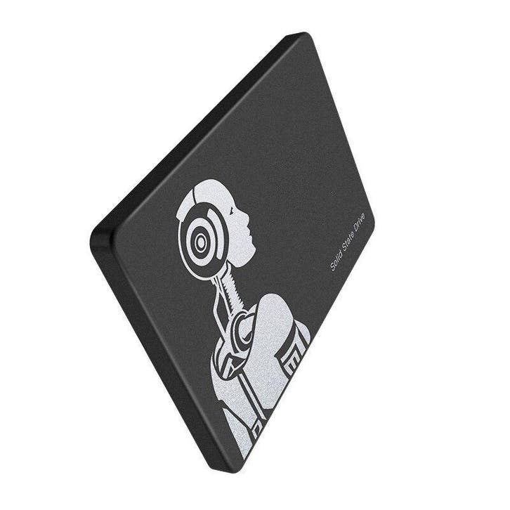 LUXWALLET DMF5 - Interne 1000GB SSD 2.5 Inch SATA3 (6Gbps) -, Computers en Software, Harde schijven, Verzenden