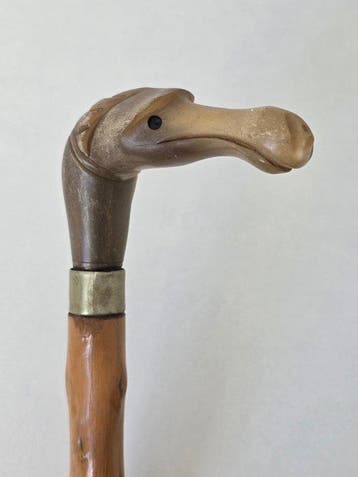 Uniek zeldzame Wandelstok - Hoorn, Hout - Vogel/Eenden kop