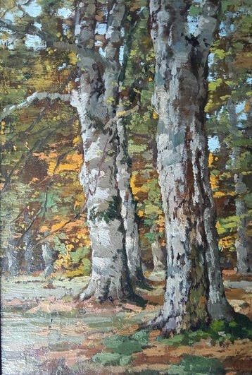 Arnold Marc Gorter (1866-1933) -Atelier - ‘Twickelse Bos’