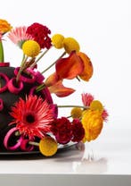 Oasis® black ideal bal 20 cm per stuk zwart steekschuim oase, Ophalen of Verzenden, Nieuw