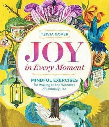 Joy in Every Moment - Tzivia Gover 9781612125114, Verzenden, Zo goed als nieuw, Tzivia Gover