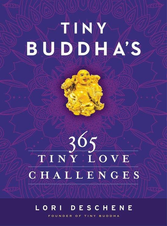 Tiny Buddhas 365 Tiny Love Challenges 9780062385857, Boeken, Taal | Engels, Gelezen, Verzenden