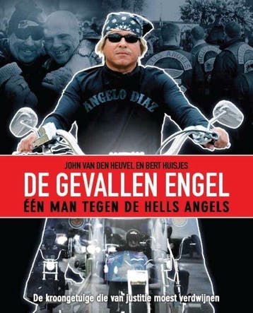 De gevallen engel - van den Heuvel, Verzenden, Gelezen
