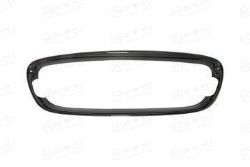 Jaguar F-Type Carbon Fiber Radiator Voor Grill cover, Verzenden