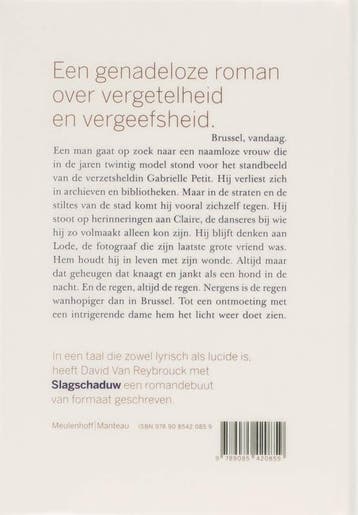 Slagschaduw - D. Van Reybrouck 9789085420859, Verzenden, Zo goed als nieuw, D. Van Reybrouck