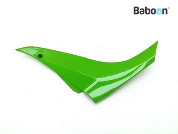 Buddypaneel Links Kawasaki ZX 10 R 2008-2010 (NINJA ZX-10R, Verzenden, Gebruikt
