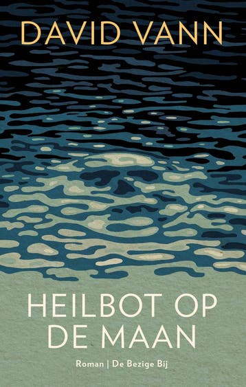 Heilbot op de maan (9789403147703, David Vann), Verzenden, Nieuw