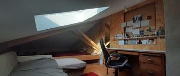 Te Huur Kamer Boddaertstraat In Den Haag, Huizen en Kamers, Minder dan 20 m², Den Haag