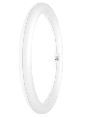 Ledvance LED T9 24W/865 | Vervangt Philips TL-E 40W/865 /..., Ophalen of Verzenden, Nieuw
