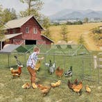Metalen Kippenren 4×1×1 m met UV Waterdichte Cover, Dieren en Toebehoren, Verzenden, Nieuw