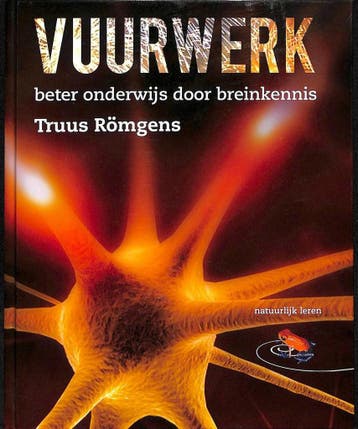 Vuurwerk - Truus Römgens 9789080783706, Verzenden, Zo goed als nieuw, Truus Römgens