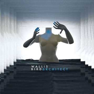 lp nieuw - wallis bird - Architect (nieuw), Verzenden, Zo goed als nieuw, Overige formaten